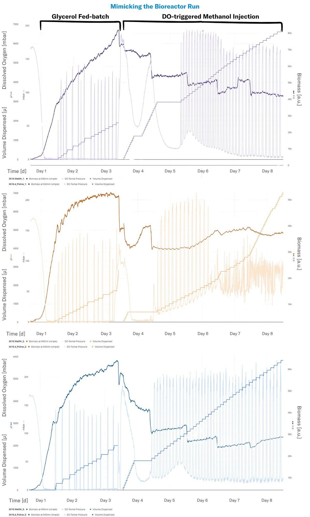 Brain-graphs