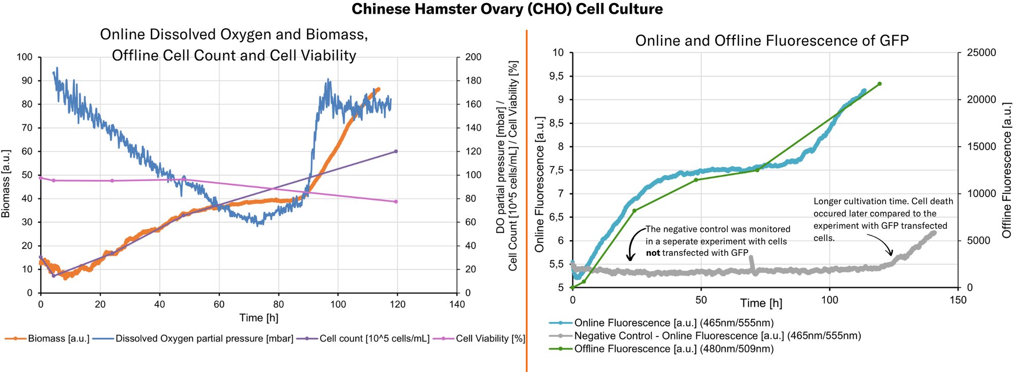 Graph CHO-biomass, DO, cell counts, fluorescence +neg+comments