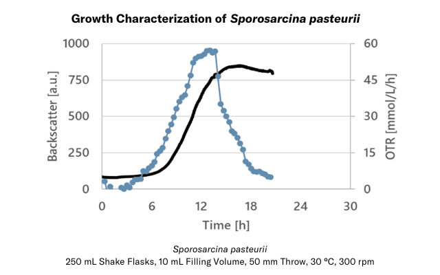 Growth Characterization of Sporosarcina pasteurii