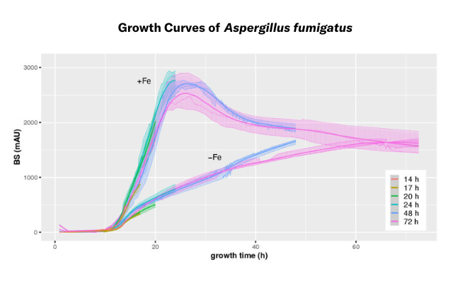 Growth Curves of Filamentous Aspergillus fumigatus