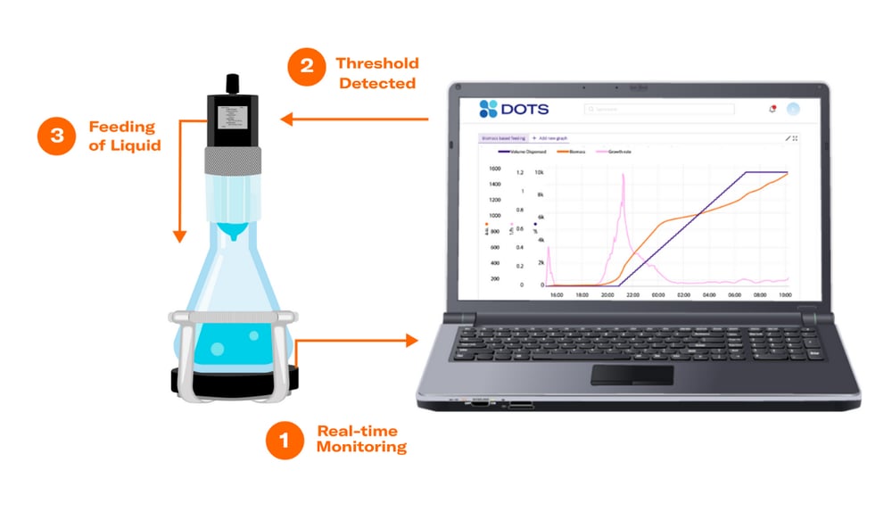 Parameter-based Feeding Graphic Parameter-based Feeding Graphic