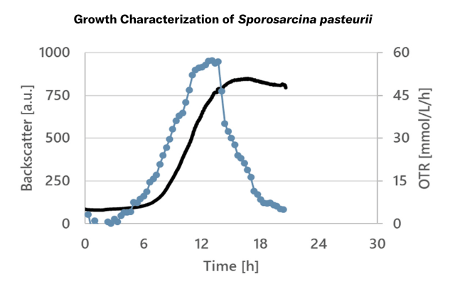 Growth-Characterization-Sporosarcina-pasteurii
