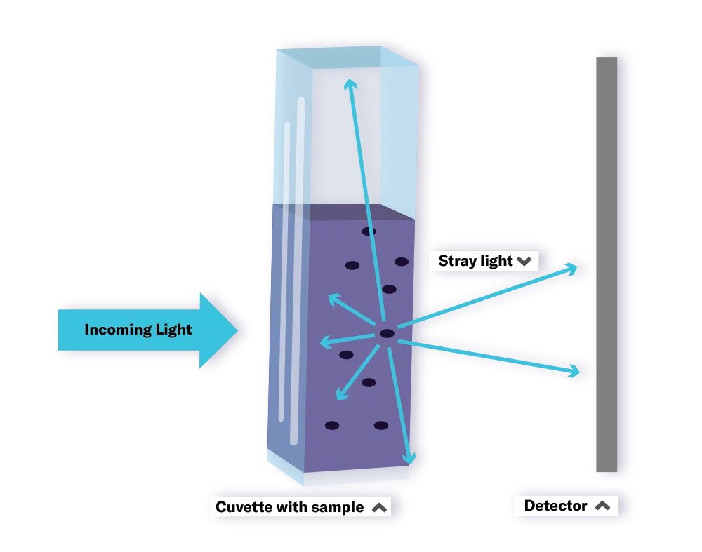Biomass Measurement in Shake Flasks A Comparison Between Optical