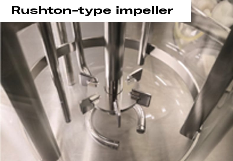 5 Things You Need to Do to Scale Up Your Experiments from Shake Flasks Scientific Bioprocessing