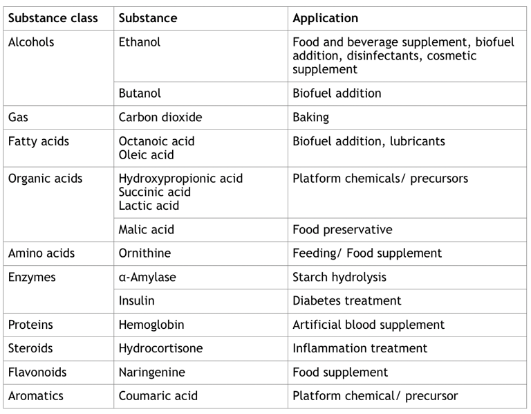 Microorganism Spotlight – Yeast