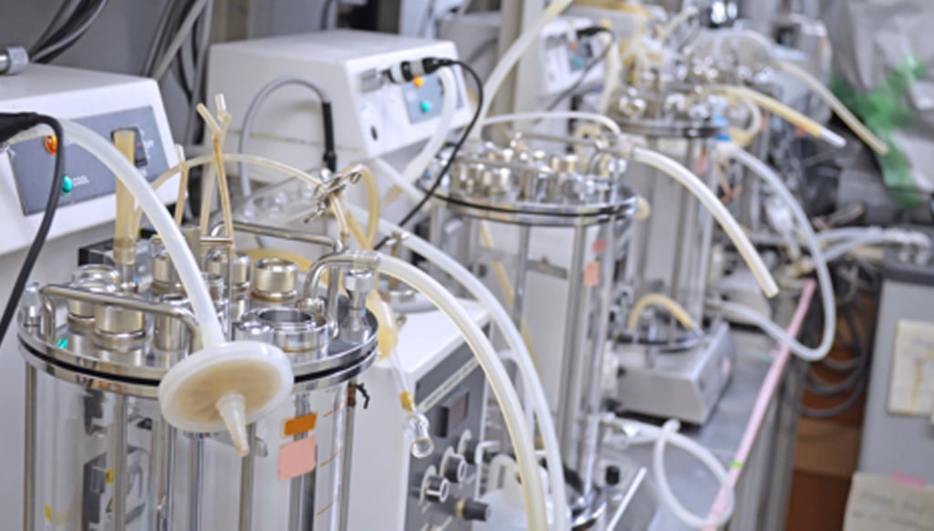 5 Things You Need to Do to Scale Up Your Experiments from Shake Flasks
