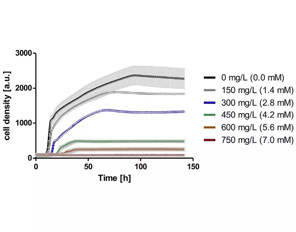 Biomass Measurement in Shake Flasks: A Comparison Between Optical Density and Backscatter Light