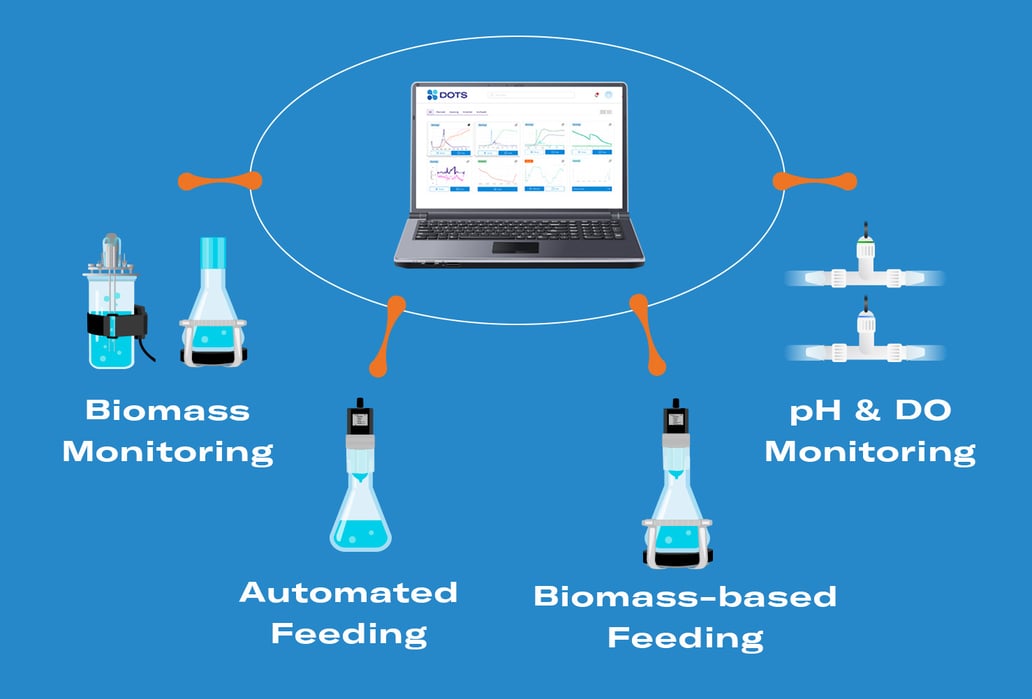 Software-Graphic-SBI-2022