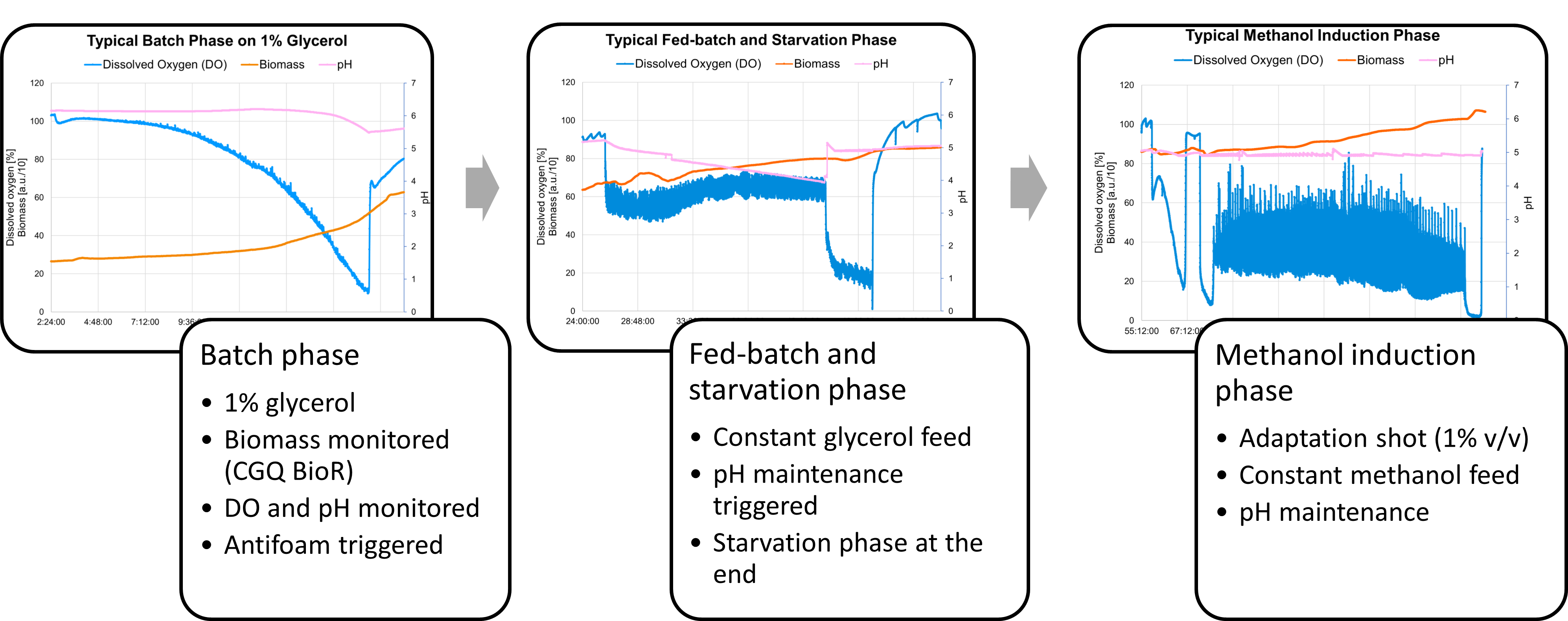 bioreactors monitored in detail