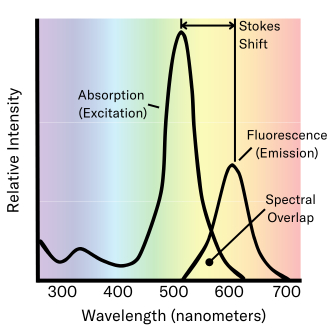 emission and excitation fluorescence