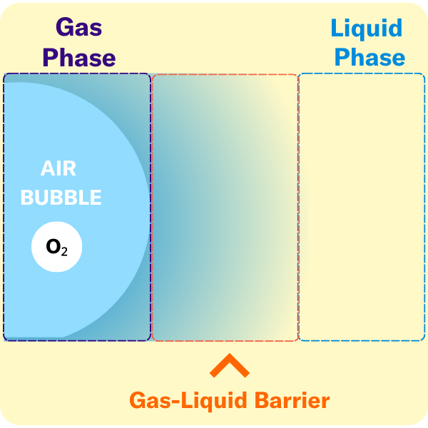 gas-liquid-barrier