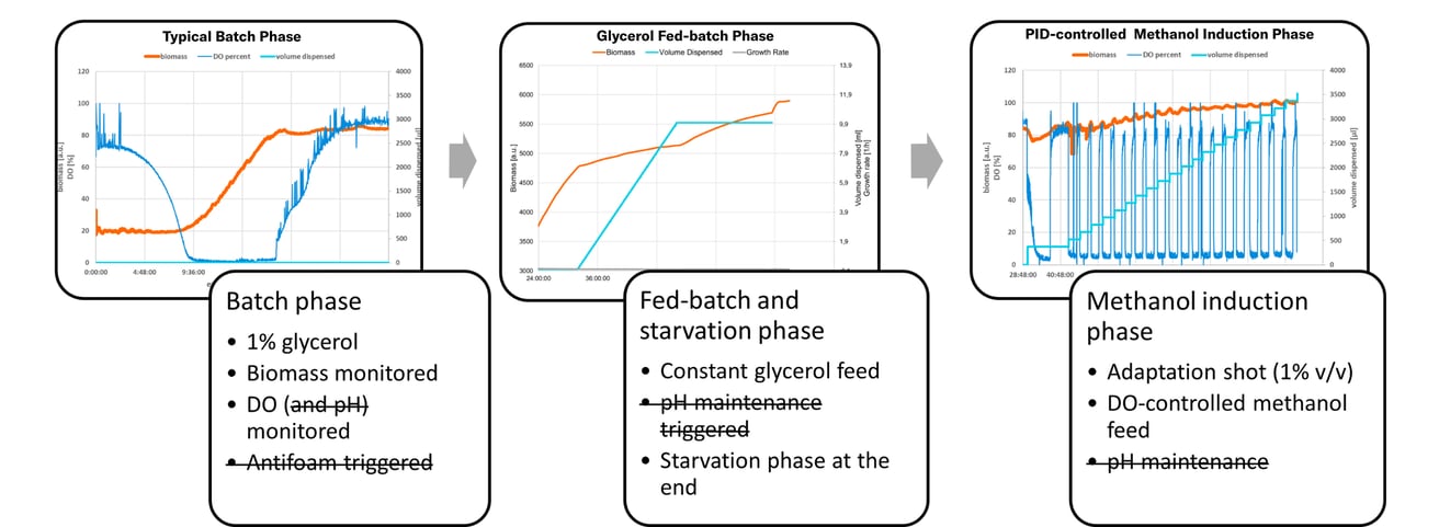 graph-BRAIN-story (1)
