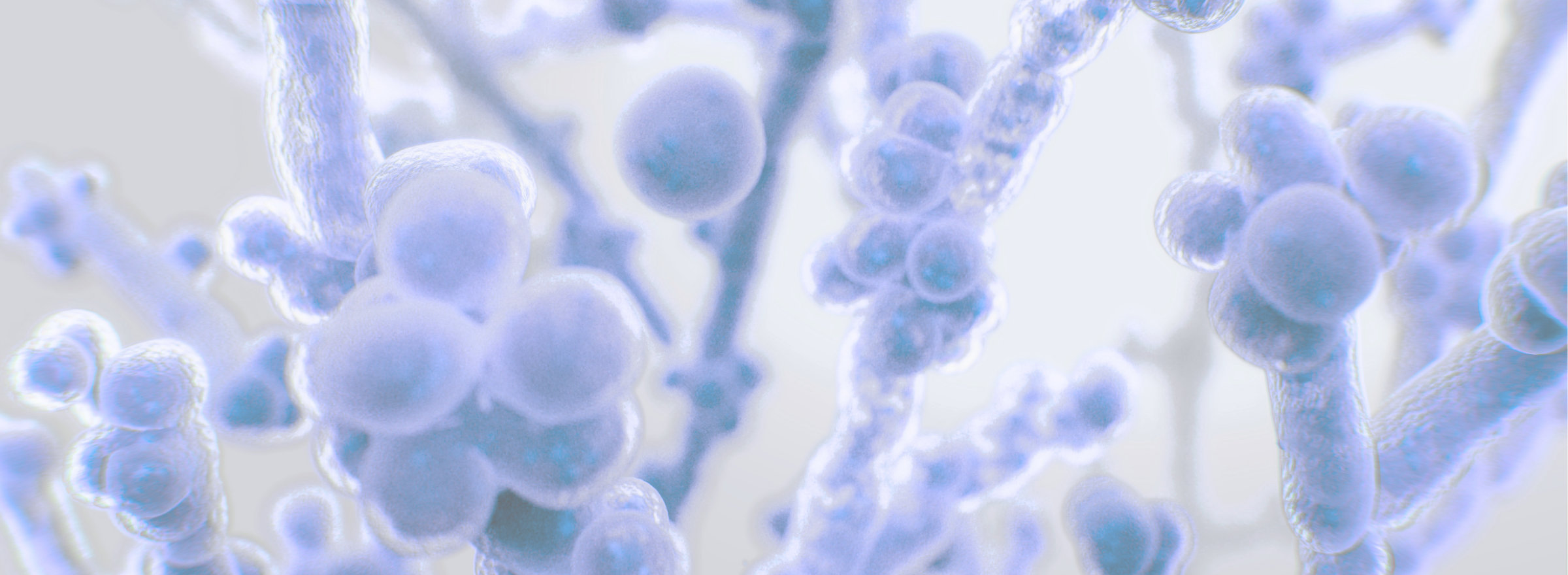 graph-BRAIN-story and others