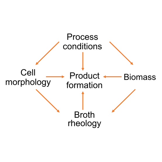 graphic_process_dependencies