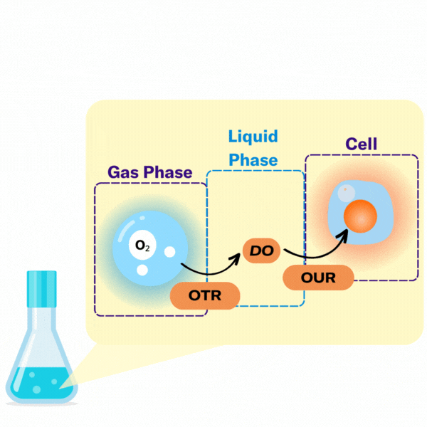 oxygen-transfer-in-shake-flasks