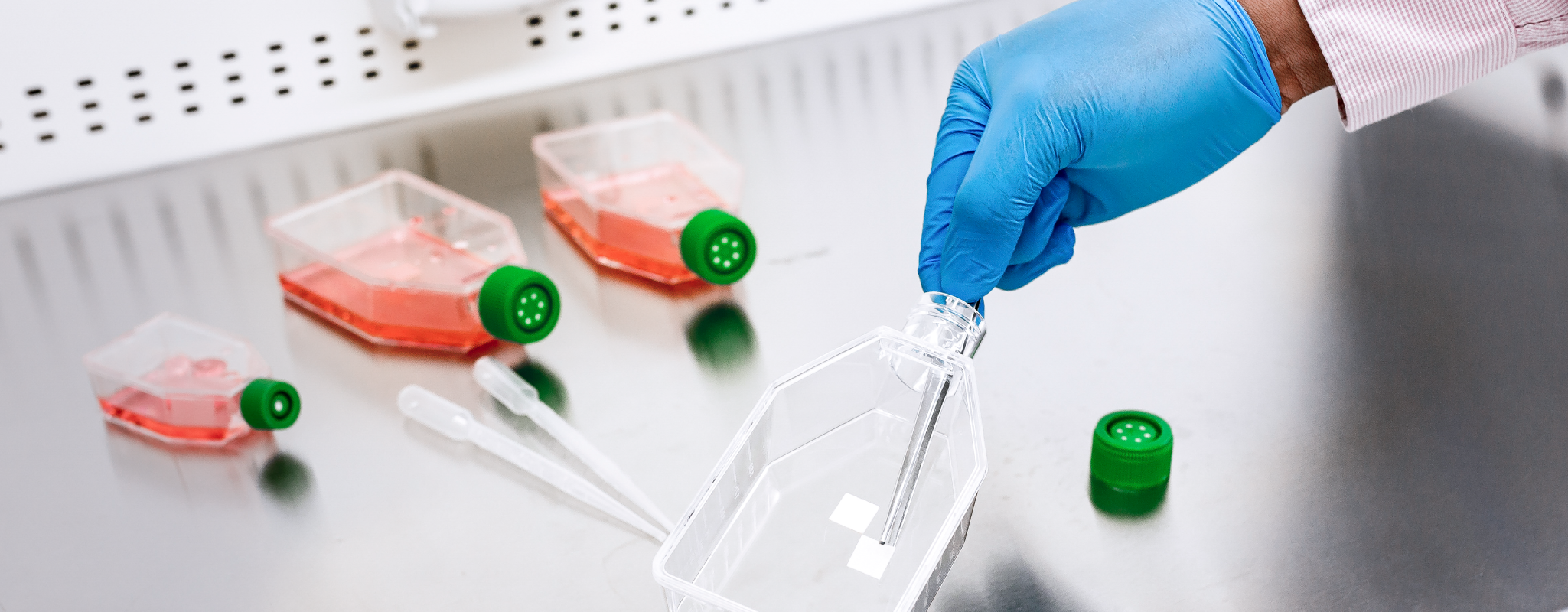 Deep Dive Into Cell Culture Media pH and Dissolved Oxygen