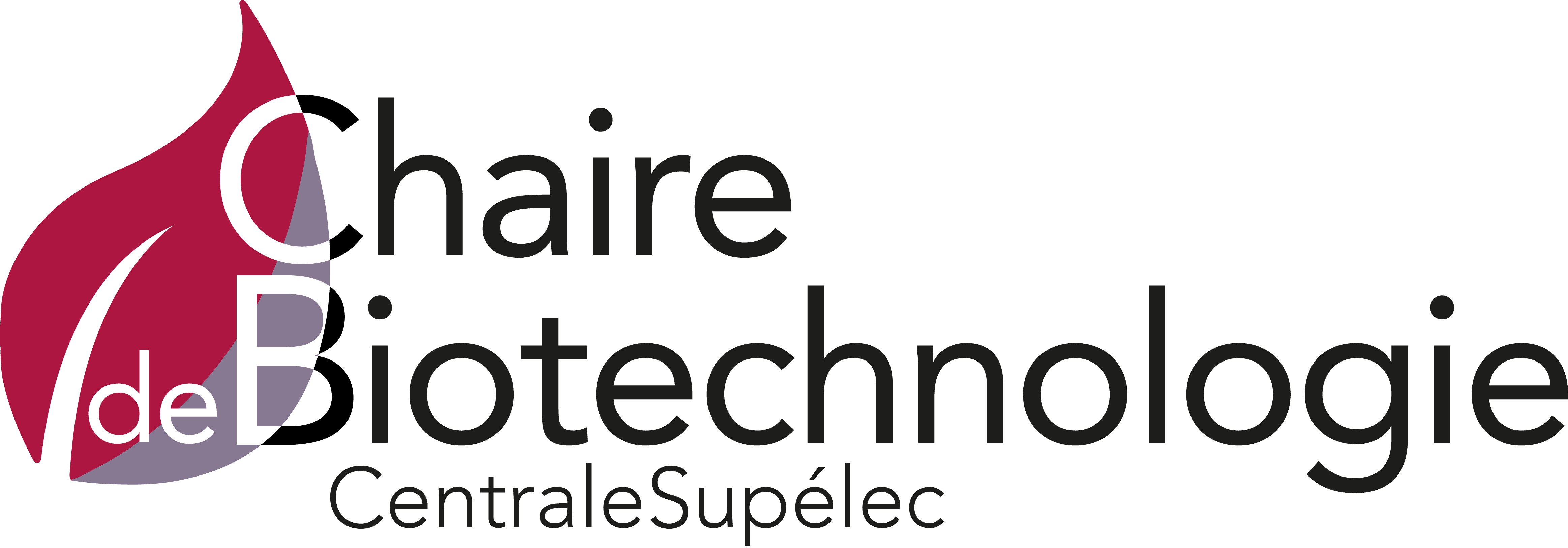 2017-05-24 Chaire Biotechnologie CS full_0-1