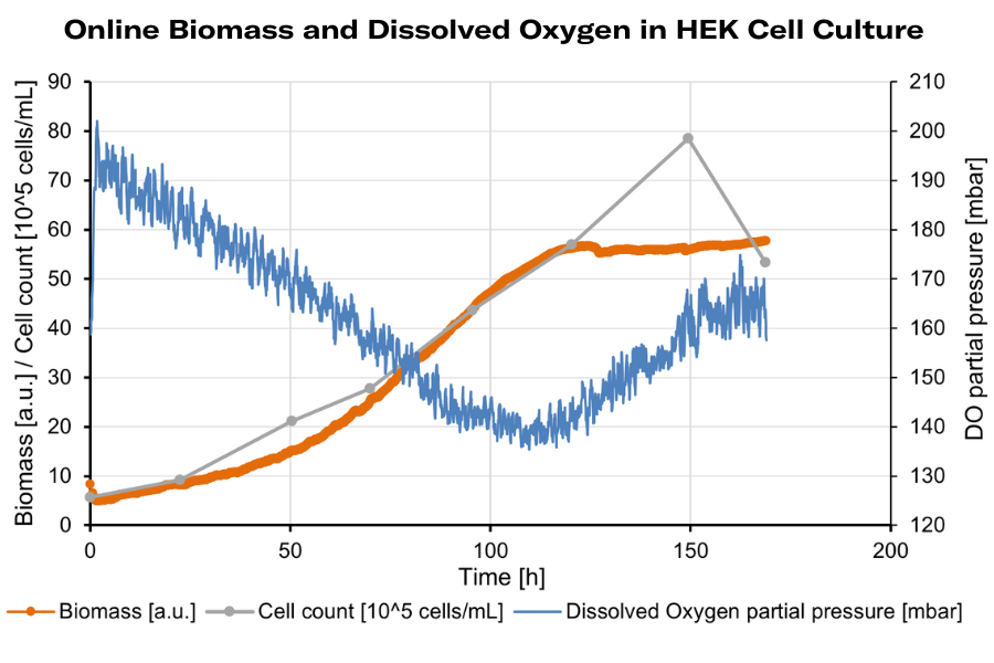 Graph HEK cells-biomass and DO