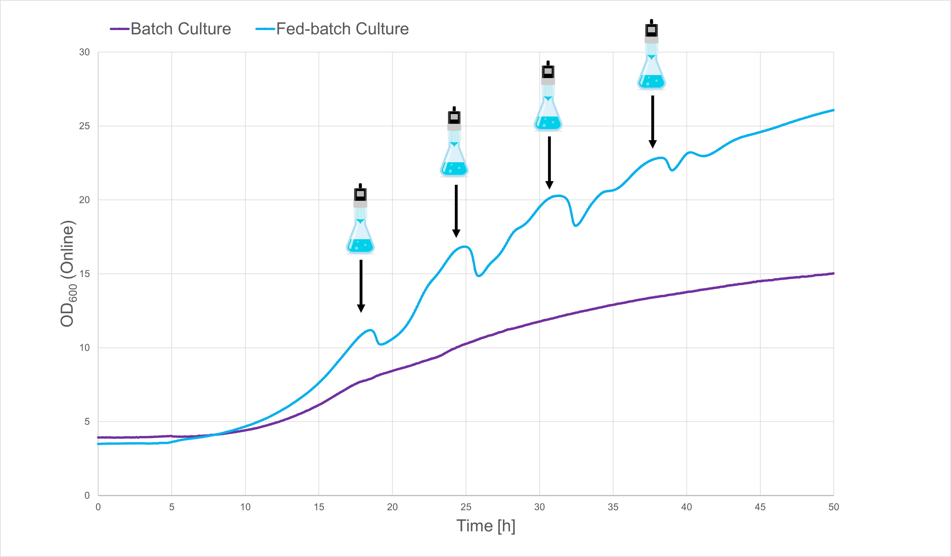 Graph_LIS_feeding_Pozzobon