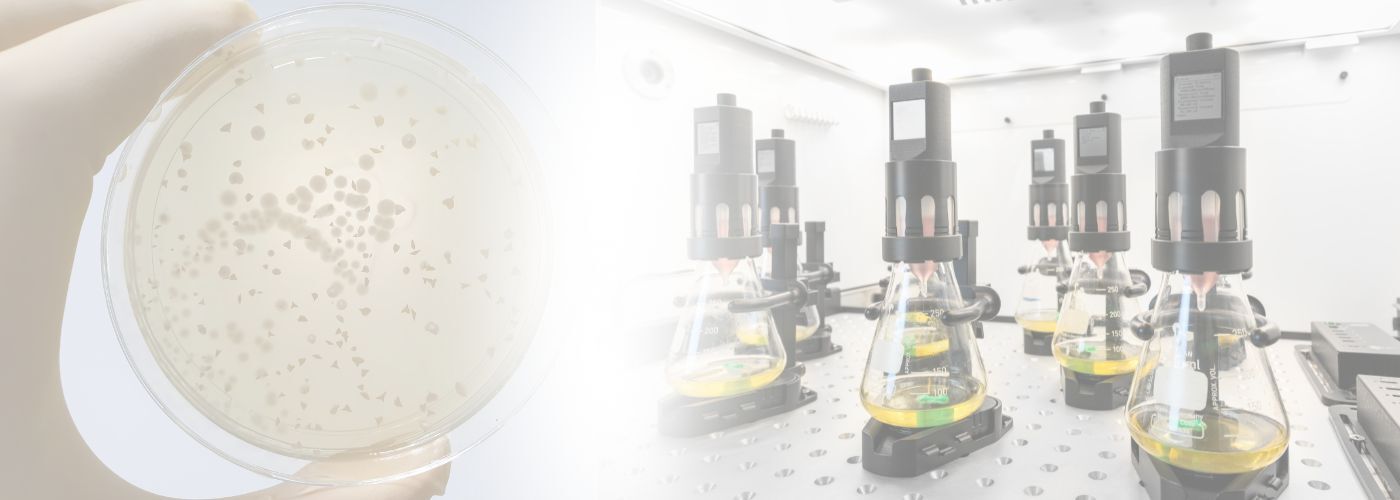 Pichia pastoris - DO feeding - Brain Header