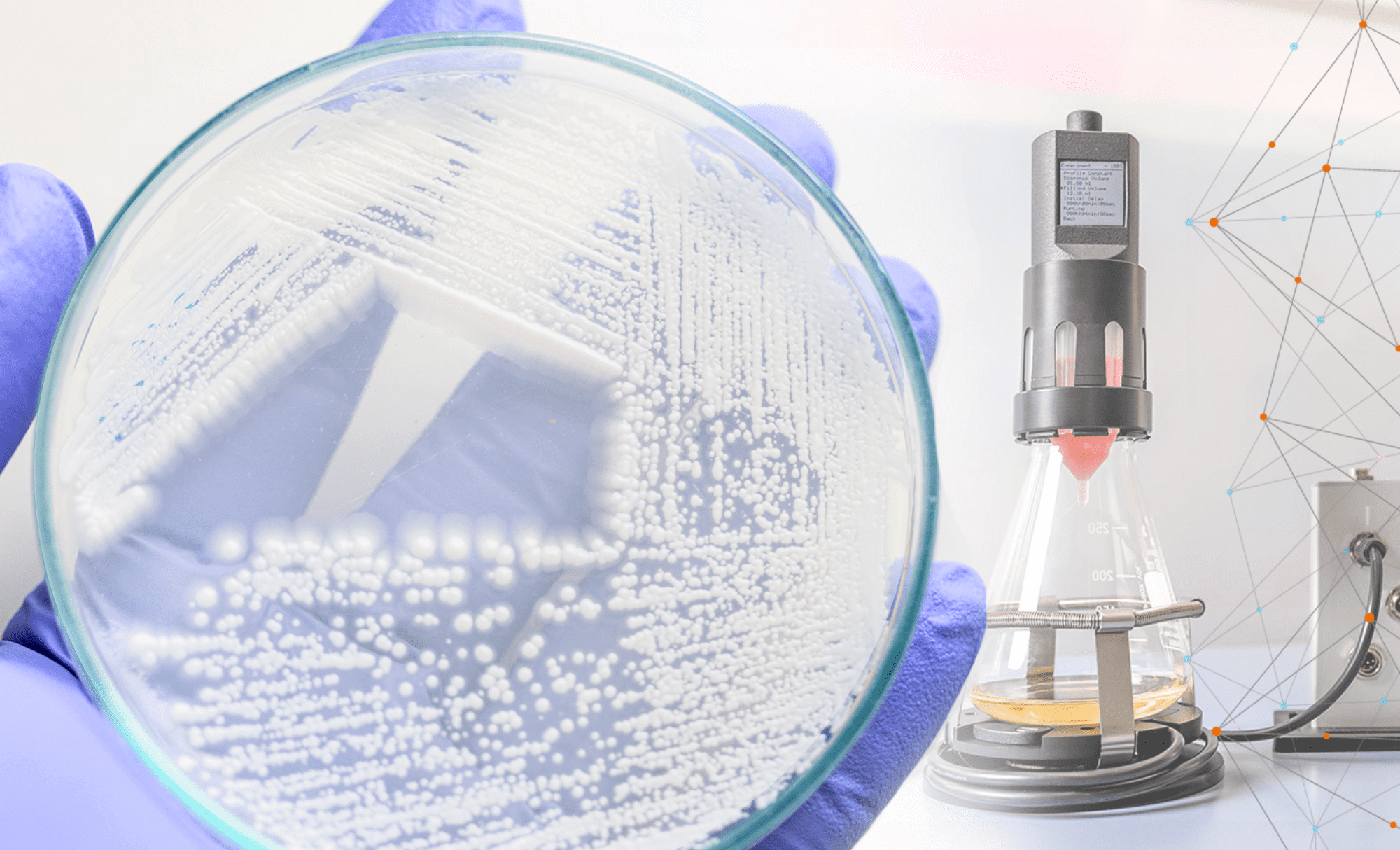 Pichia pastoris - Induction screening with an advanced biomass-based feeding application (20 × 8.5 Zoll) (1) (1)