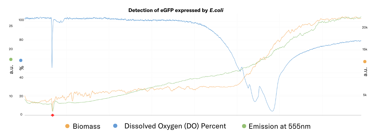 biomass-dissolved-oxygen-eGFP-E.coli