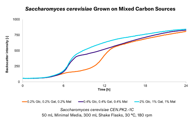 Saccharomyces cerevisiae Grown on Mixed Carbon Sources
