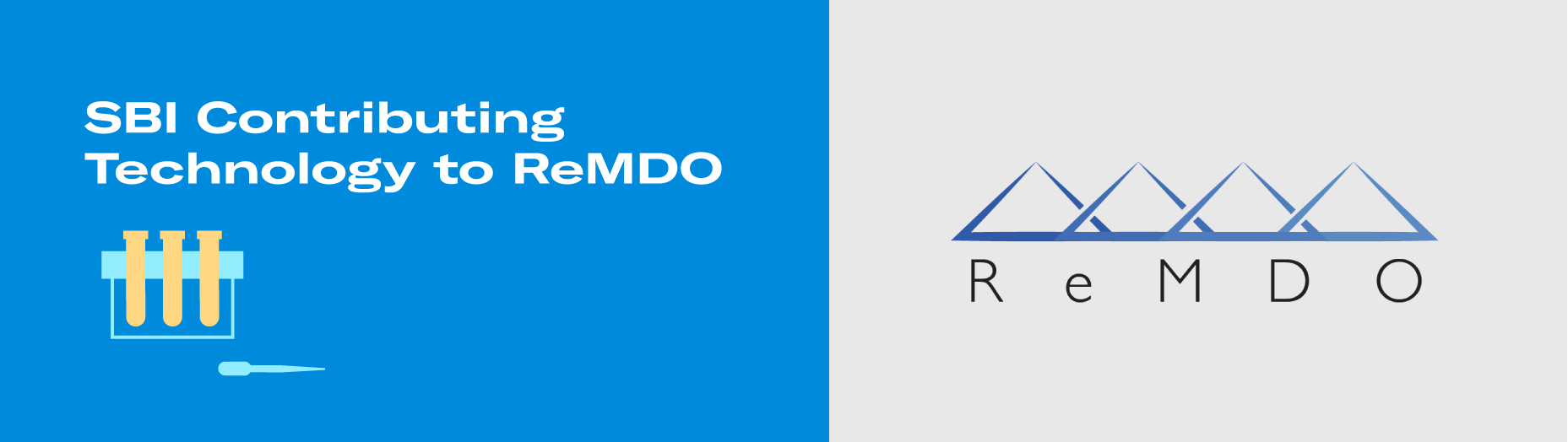 SBI Contributing Technology and Expertise to Advance RegenMed Development Organization’s (ReMDO’s) Mission