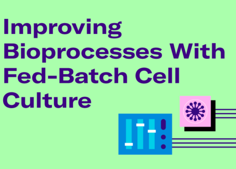 Improving Bioprocesses With Fed-Batch Cell Culture