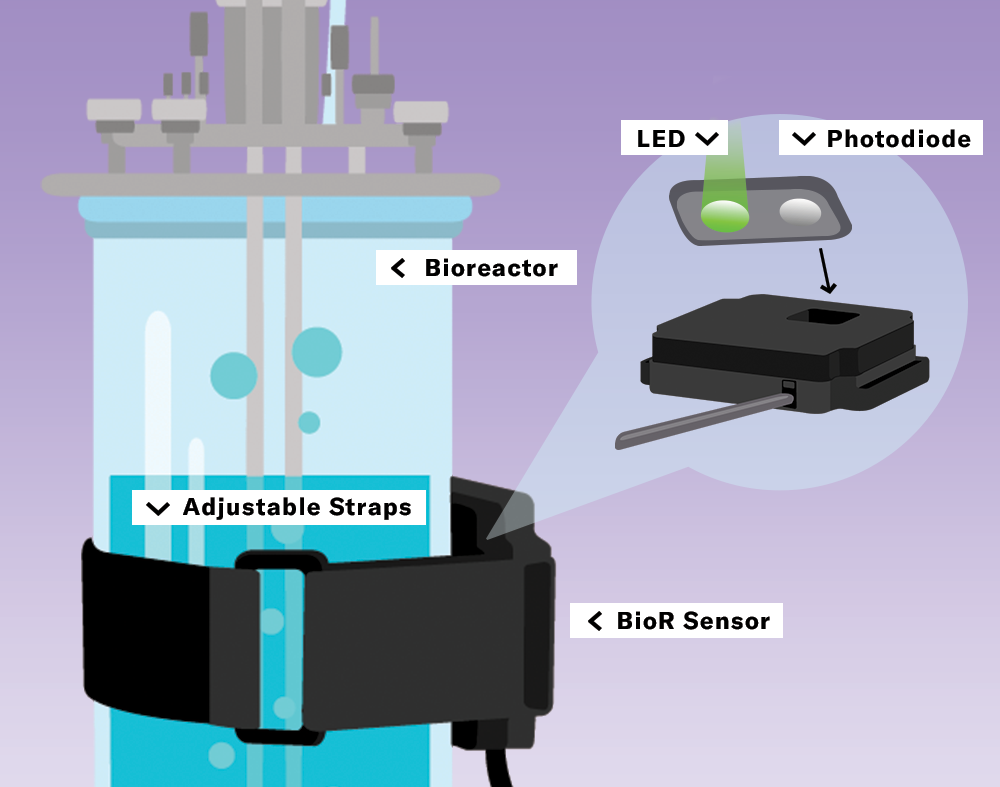 BioR Sensing  Architecture