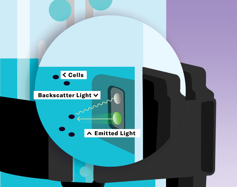 Biomass Monitoring by Backscattered Light