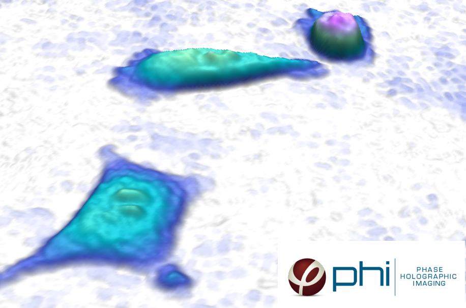 PHASE HOLOGRAPHIC IMAGING
