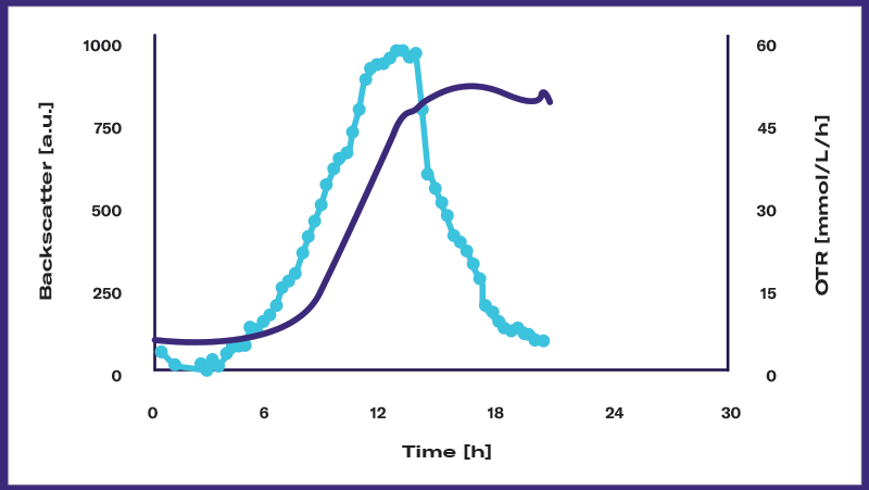 Cell Growth Quantifier (CGQ)