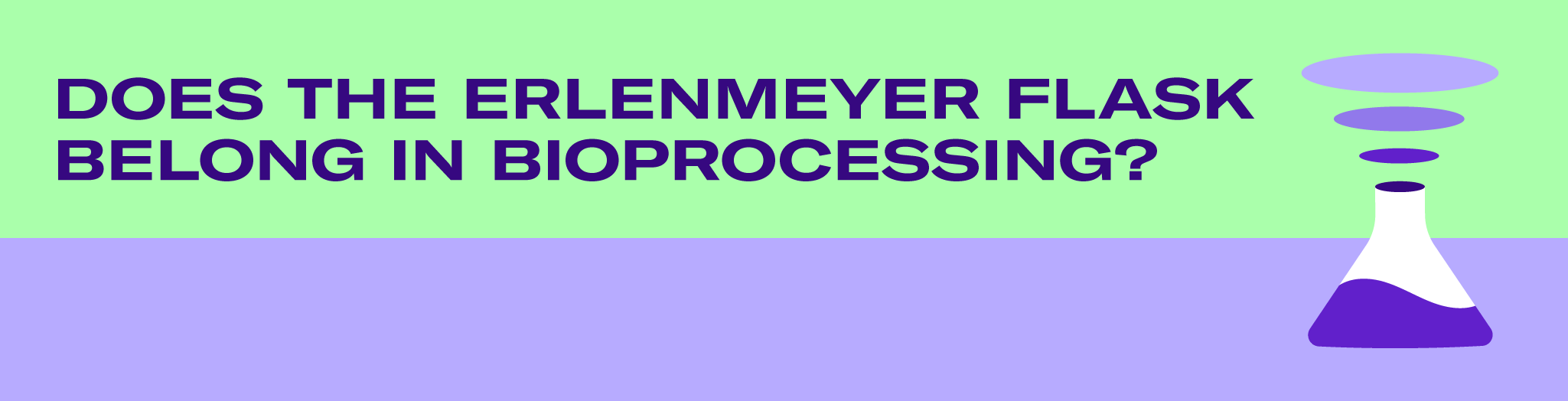 Does The Erlenmeyer Flask Belong in Bioprocessing?