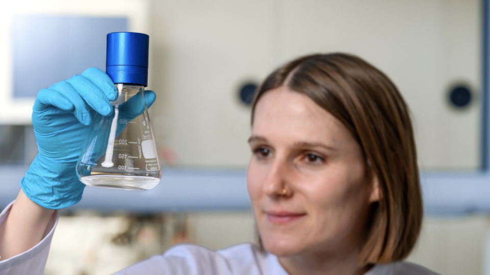 5 Things You Need to Do to Scale Up Your Experiments from Shake Flasks