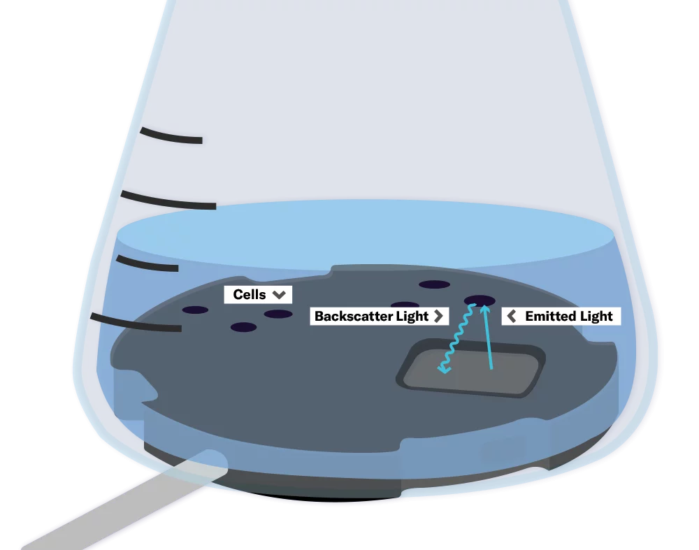 Backscatter Measurements