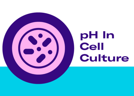 pH In Cell Culture – How Does pH Buffered Culture Media Work?