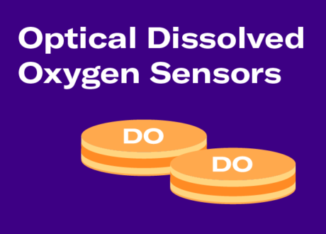 How Do Optical Dissolved Oxygen Sensors Work?