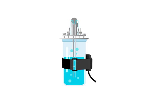 Automated, online, non-invasive biomass monitoring in bioreactors.
