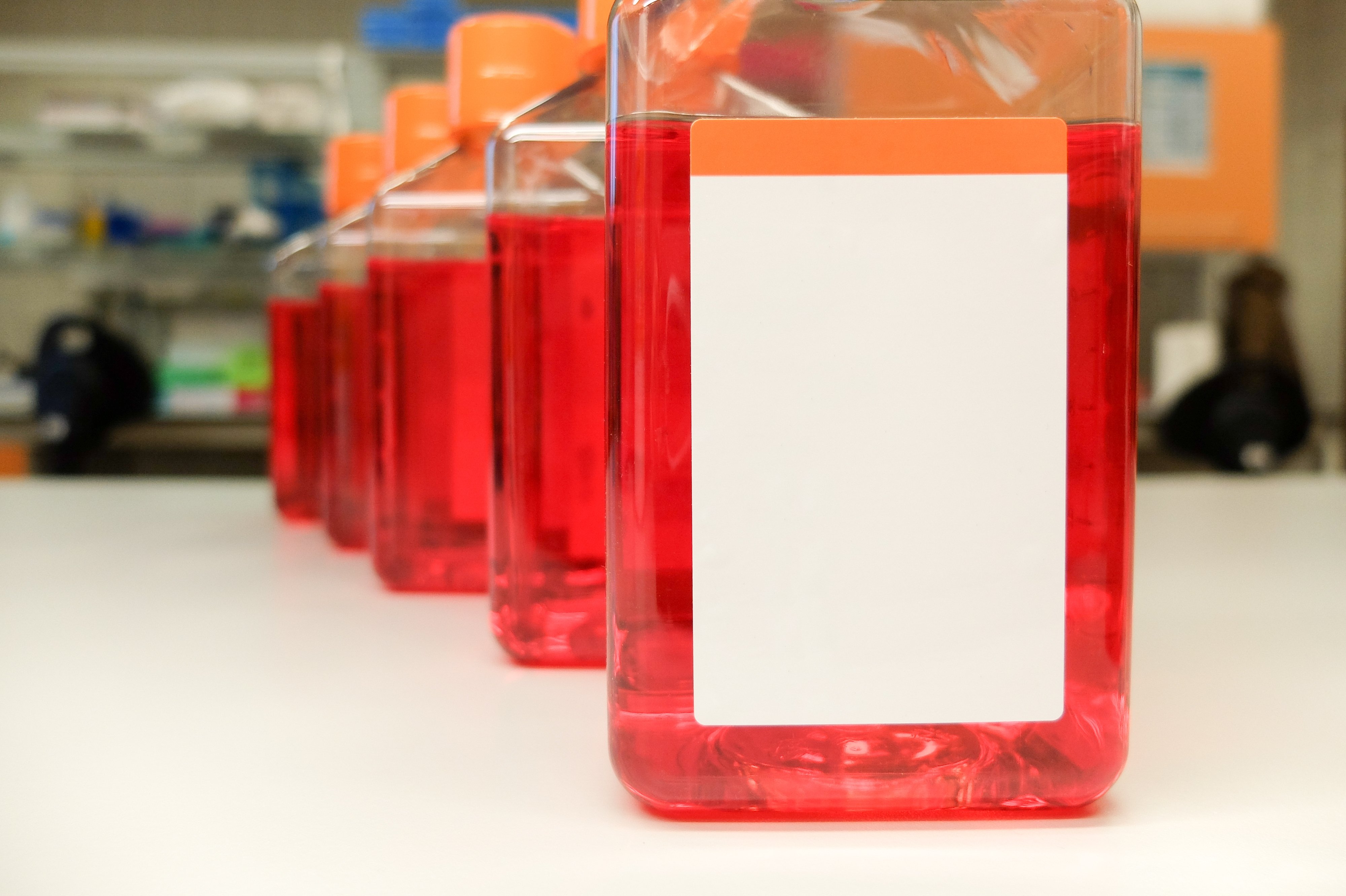 A Deep Dive into Cell Culture Media