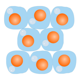 cell-growth-viability