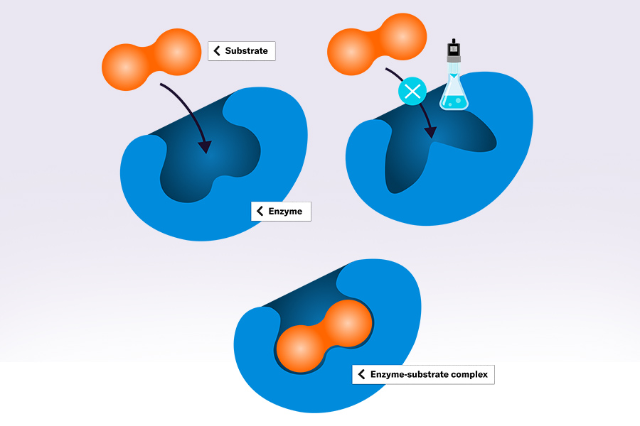 enzyme-inhibitor