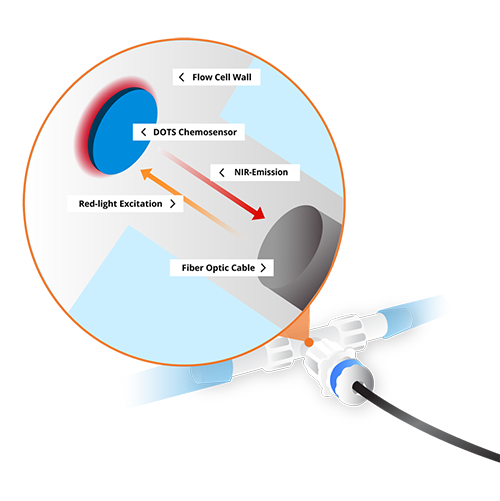 flow-cell-internal-explanation-no-background2