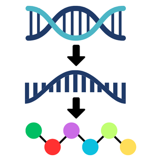 gene expression