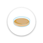 icon round-solid medium (1)