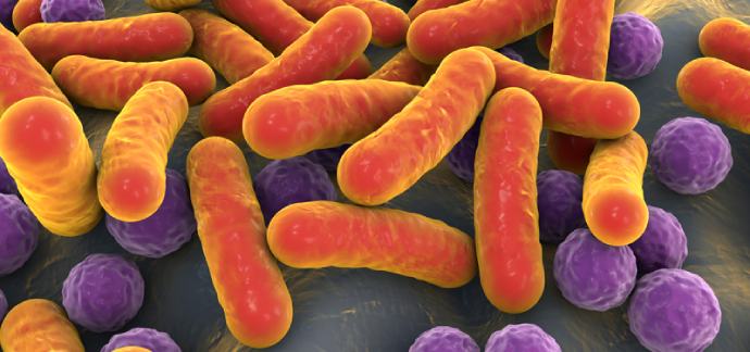 Microbial Fermentation
