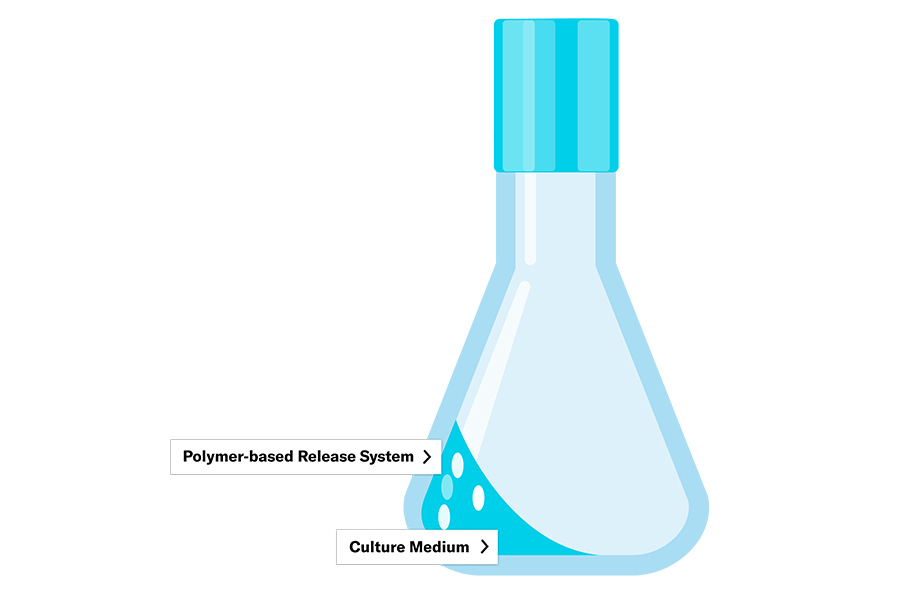 polymer-release-image-in-flask